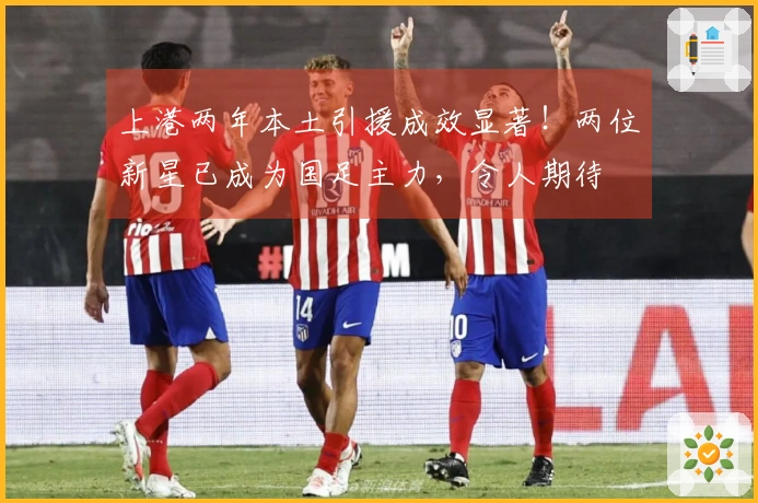 上港两年本土引援成效显著！两位新星已成为国足主力，令人期待