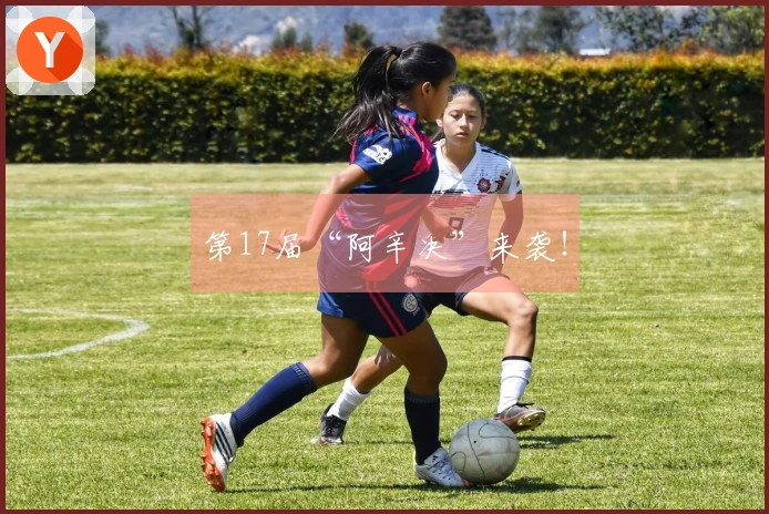 第17届“阿辛决”来袭！